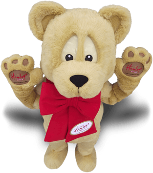 BEAR MASCOT COSTUME HAMLEYS